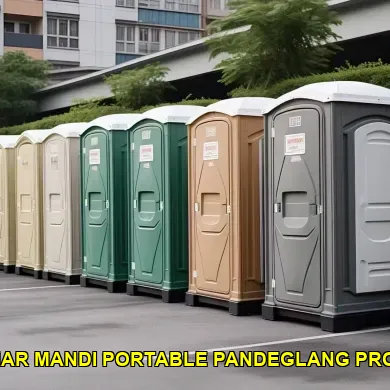 sewa kamar mandi portable pandeglang profesional